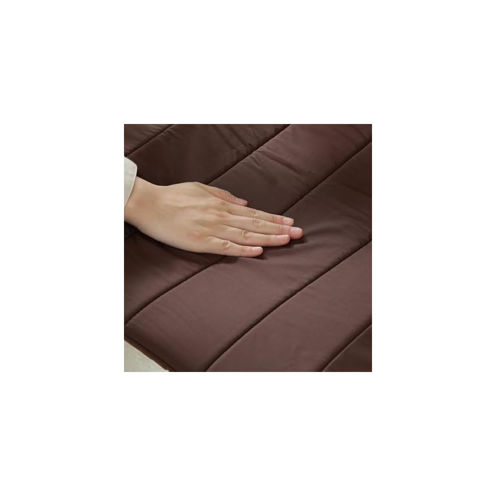 Fuji Boeki 84056 Relax Chair, Personal Chair, 1 Seater, Width 23.2 x Depth 30.3 x Height 40.2 inches (59 x 77 x 102 cm), Brown, Slim,